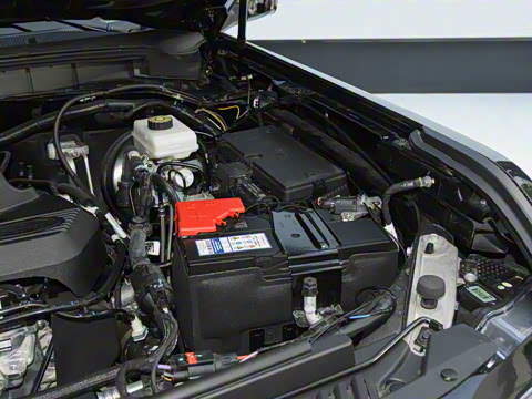 2025�� GT45 ������