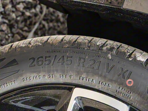 2025�� Max �����