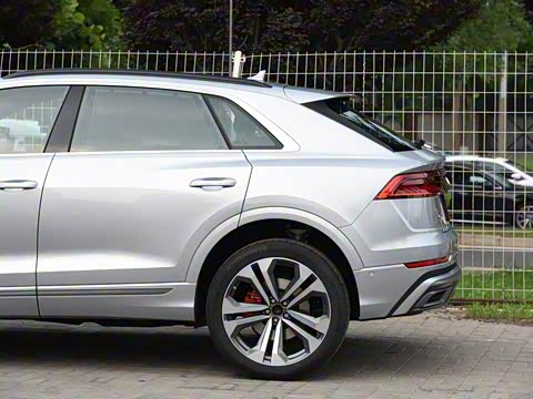 2019�� 55 TFSI ����������