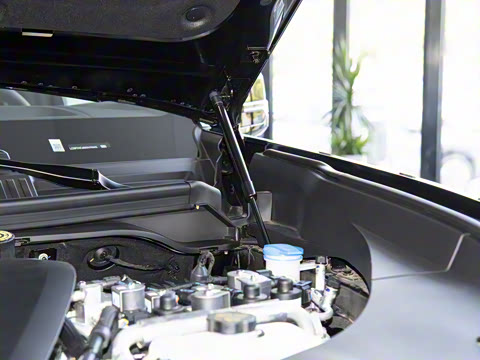 2025�� ���º������˻��� 6��