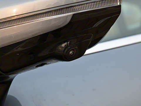 2021�� ������������� WE��