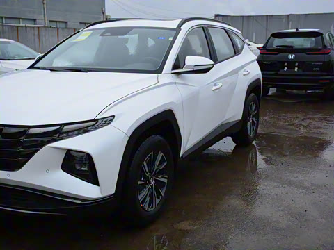 2022�� ;ʤL 2.0L �춯��������