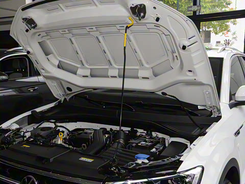 2025�� �Ŀ�� 300TSI DSG���������