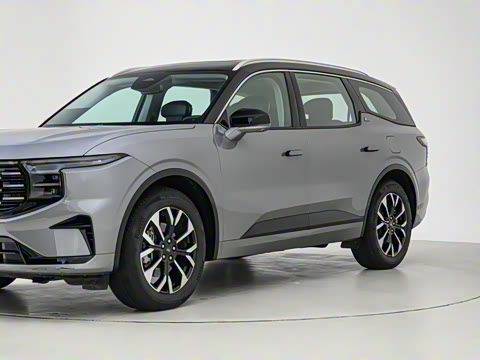 2025�� ���L 2.0T EcoBoost E�춯��������������