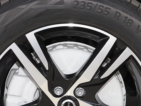 2023�� B3 ��Զ�˶���