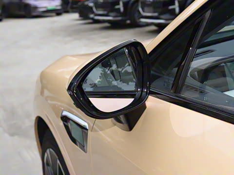 2025�� Max �����