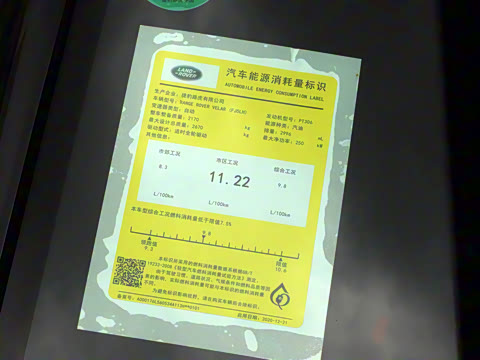 2021�� P340 R-DYNAMIC SE