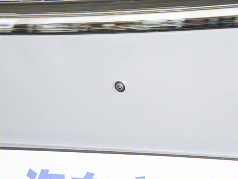 2025�� 702 �������� Max