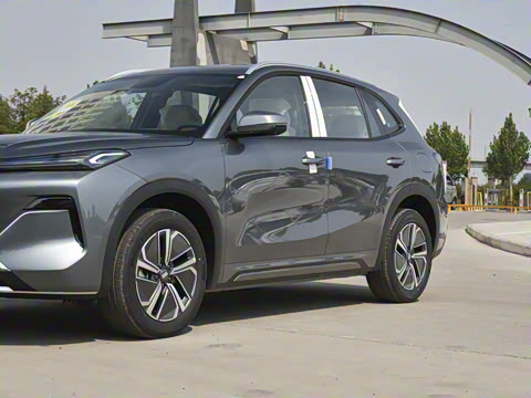 2025�� 55km ������