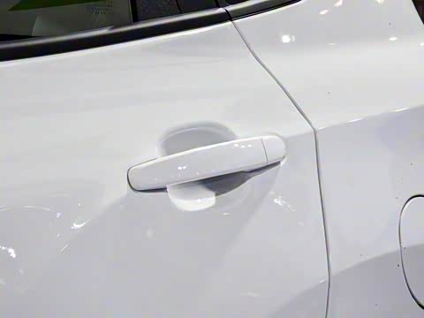 2020�� �����