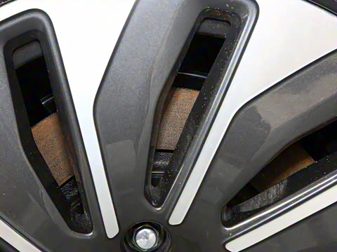 2022�� �������������