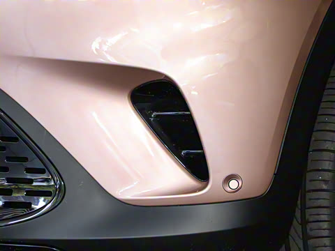 2026�� �鶯��������