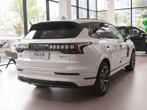 2025�� 2.0TD EM-P ����Max ����