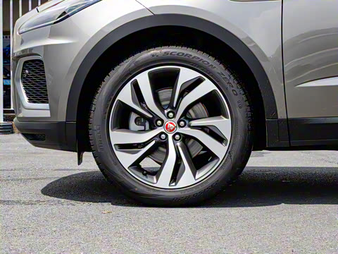 2024�� ��ȡ�˶��� R-DYNAMIC S