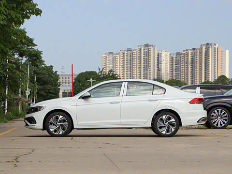 2025�� �Ŀ� 300TSI DSG���а�