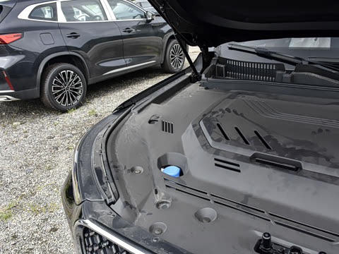 2025�� 290TGDI DCT����� 7��