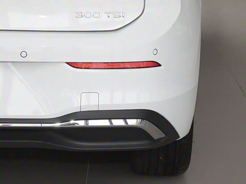 2025�� �Ŀ� 300TSI Pro