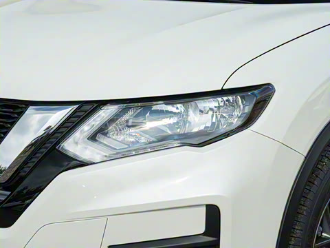 2025�� ���� 2.0L �������İ�