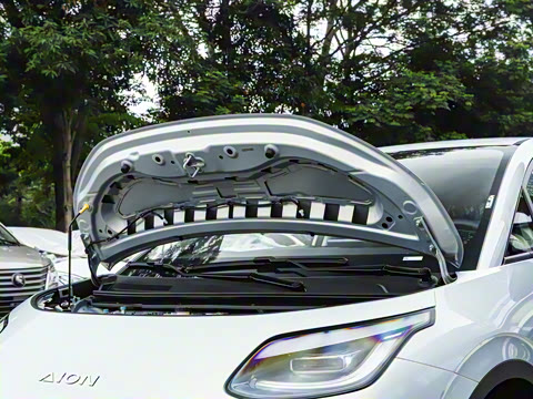 2025�� 330��ҫ��