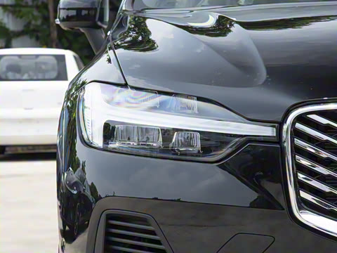 2026�� ���ʽ�춯 ������������Զ������