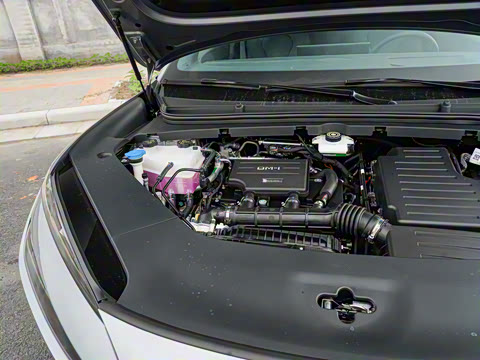 2025�� DM-i 170�캽Plus��