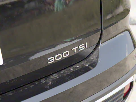 2025�� 300TSI ������°�