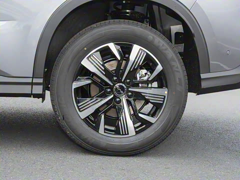 2025�� DM-i �Ǽݰ� 75KM������