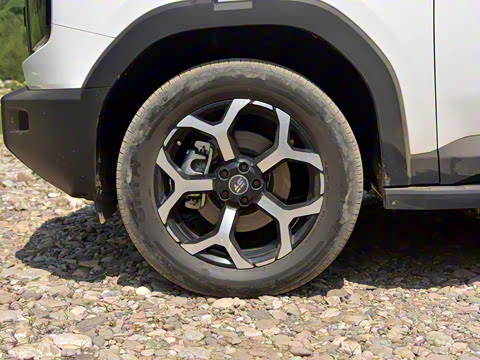 2025�� 220km ����������