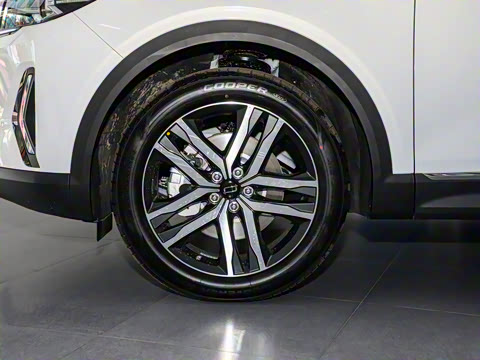 2023�� 2.0T �Զ�������