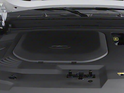 2025�� 120km ���ּӳ��� 7��