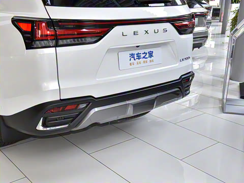 2025�� 700h VIP������