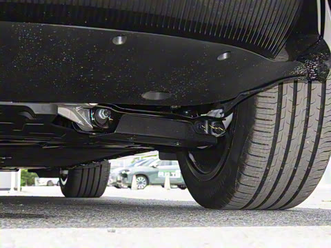 2025�� Max ���������