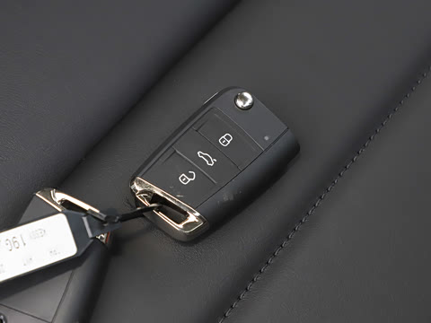 2025�� �Ŀ� 300TSI DSG���а�