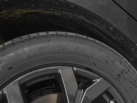 2021�� 390T ������ҫ��������