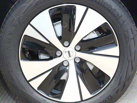 2023�� B3 ��Զ������