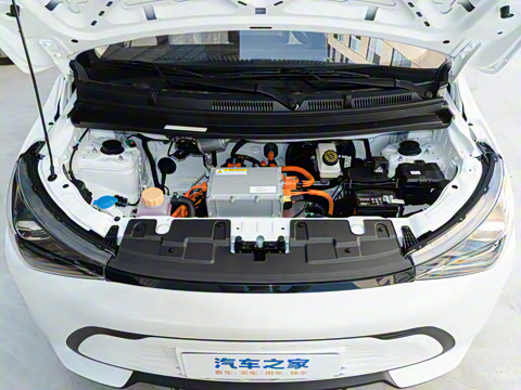 2026�� Mate 305km ����̤�˰�