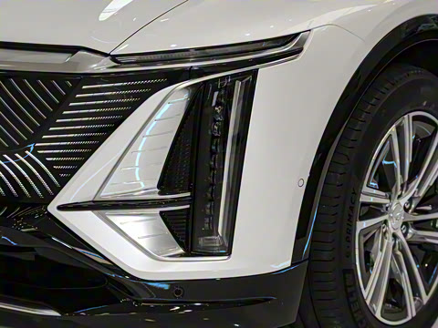 2022�� ��������������