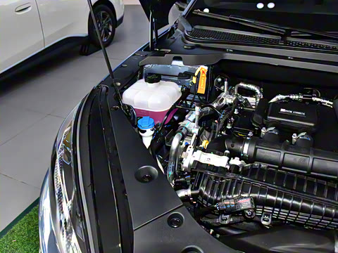 2025�� DM-i 80KM�����