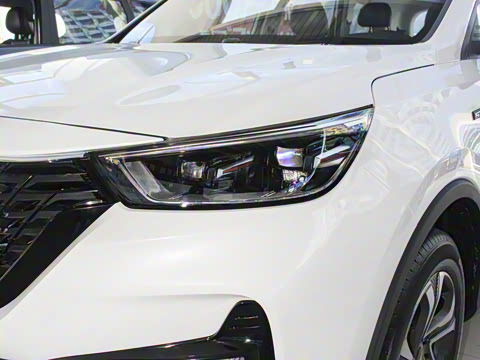 2021�� GT 2.0T �Զ��콢�� 7��