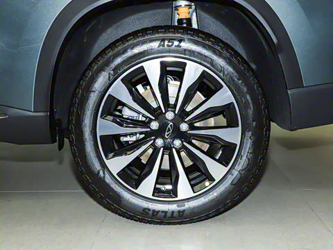 2025�� 290TGDI DCT�˷�� 