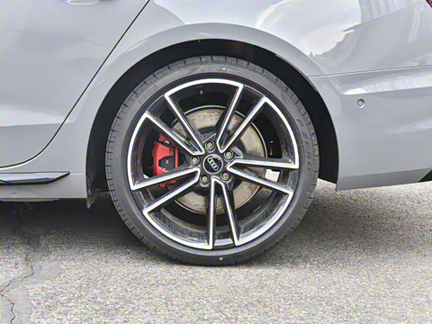 2025�� 200���������� 45 TFSI quattro ��ѡ������