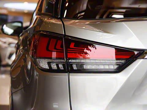 2020�� 300 �������Ű� ��VI