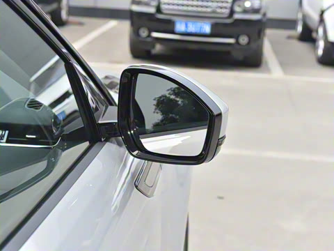 2021�� ����L P300e ������