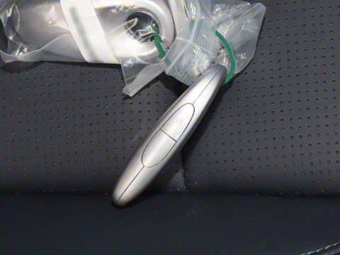 2024�� ������������