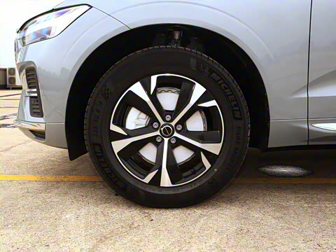 2026�� B5 �������ݺ�����