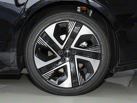 2024�� 555������