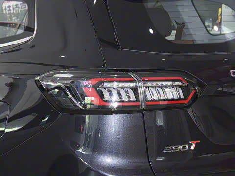 2022�� 290TGDI DCT������