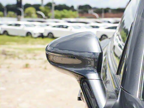 2025�� Max �����