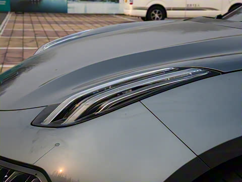 2021�� ������������� WE��