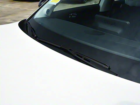 2026�� �鶯��������